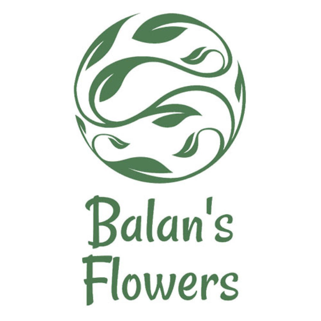 Букеты от 67р, комнатные цветы от 34р в "Balan's Flowers" в Гомеле